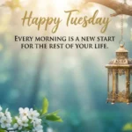 "A peaceful morning scene with white blossoms and green leaves framing a glowing, antique gold lantern hanging from a branch. Text at the top reads: 'Happy Tuesday. EVERY MORNING IS A NEW START FOR THE REST OF YOUR LIFE.'"