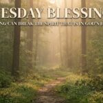 "A peaceful forest scene with morning mist and sunlight filtering through the trees, featuring a winding path. At the top, white text reads 'TUESDAY BLESSINGS', followed by 'NOTHING CAN BREAK THE SPIRIT THAT IS IN GOD'S HANDS'."